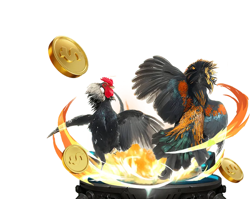 Nền tảng xem đá gà trực tiếp C1 uy tín